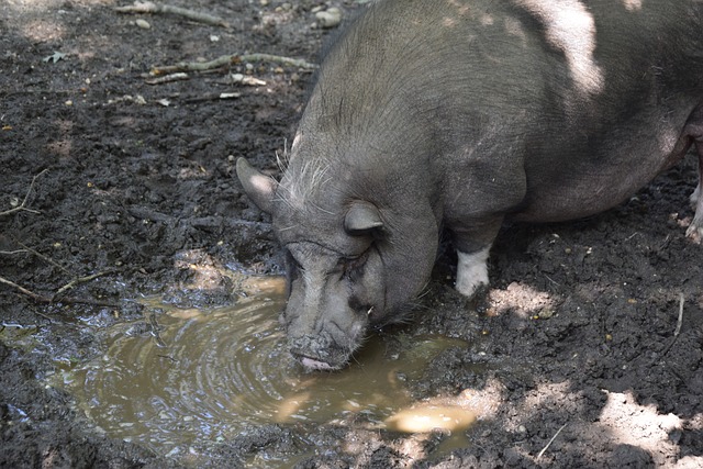 理的重要性 理的重要性