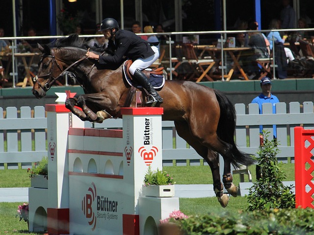 詹姆斯从进 詹姆斯从进