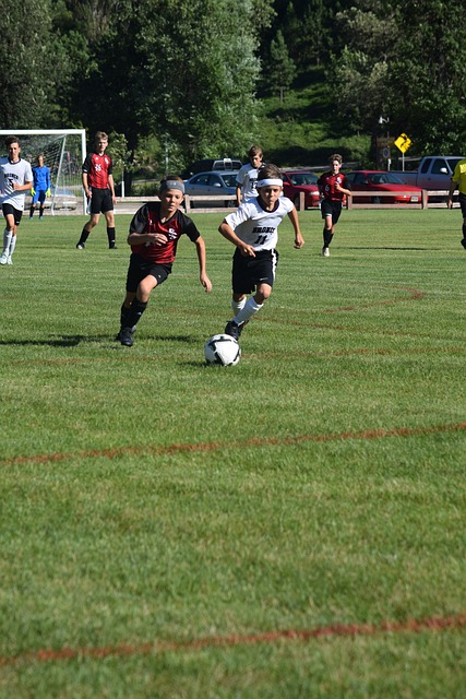 归化问题的 归化问题的